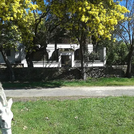 Casa Rural La Vallejera Tejeda de Tiétar Zewnętrze zdjęcie